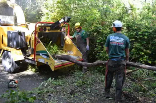 tree services Prairie Grove